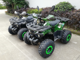 Электроквадроцикл Green Camel Атакама T520 (60V 1500W R8 Дифференциал)