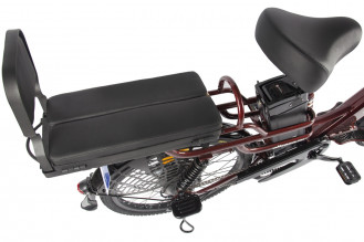 Электровелосипед GREEN CITY e-ALFA LUX, красный