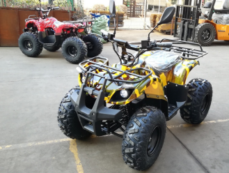 Квадроцикл GreenCamel Атакама T320 (48V 1000W R8) армейский-желтый