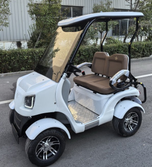 Гольфкар GreenCamel Сонора A20 (2 seats 1800W 225/40-10' литые)