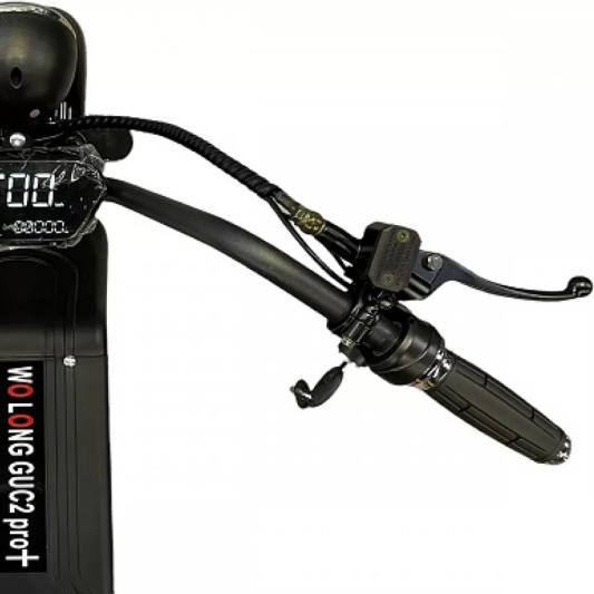 Электросамокат Wolong C2 PRO+ 13AH
